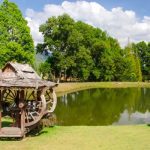 A large residential pond is surrounded by green grass and mature trees. A wooden well sits beside the pond.