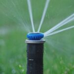 A close-up view shows a black pop-up sprinkler with a blue top spraying water from the top. Grass is blurry in the background.