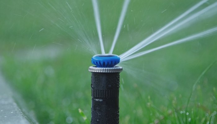Home 17 A close-up view shows a black pop-up sprinkler with a blue top spraying water from the top. Grass is blurry in the background.