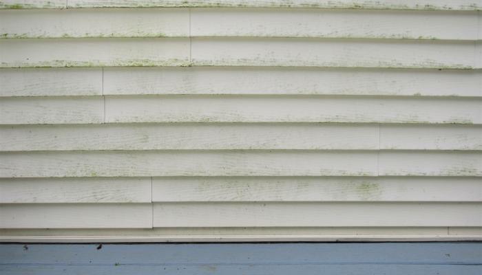A close-up view shows a home with cream-colored siding with dark-green mold and mildew growing on it.